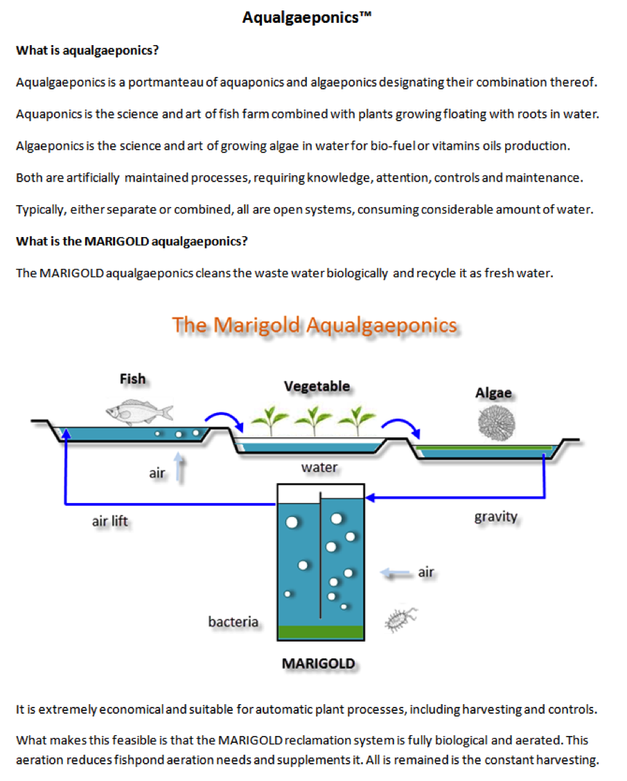 Aqualgaeponics First Introduction