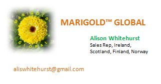 Alison Business Card Revised