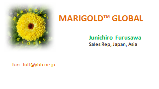 Furusawa Business Card