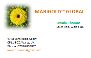 Owain Business Card