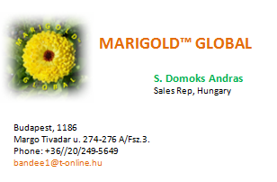 SD Andras Business Card