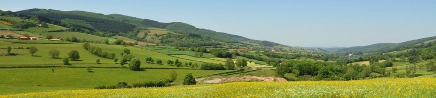 Burgundy_countryside_banner2